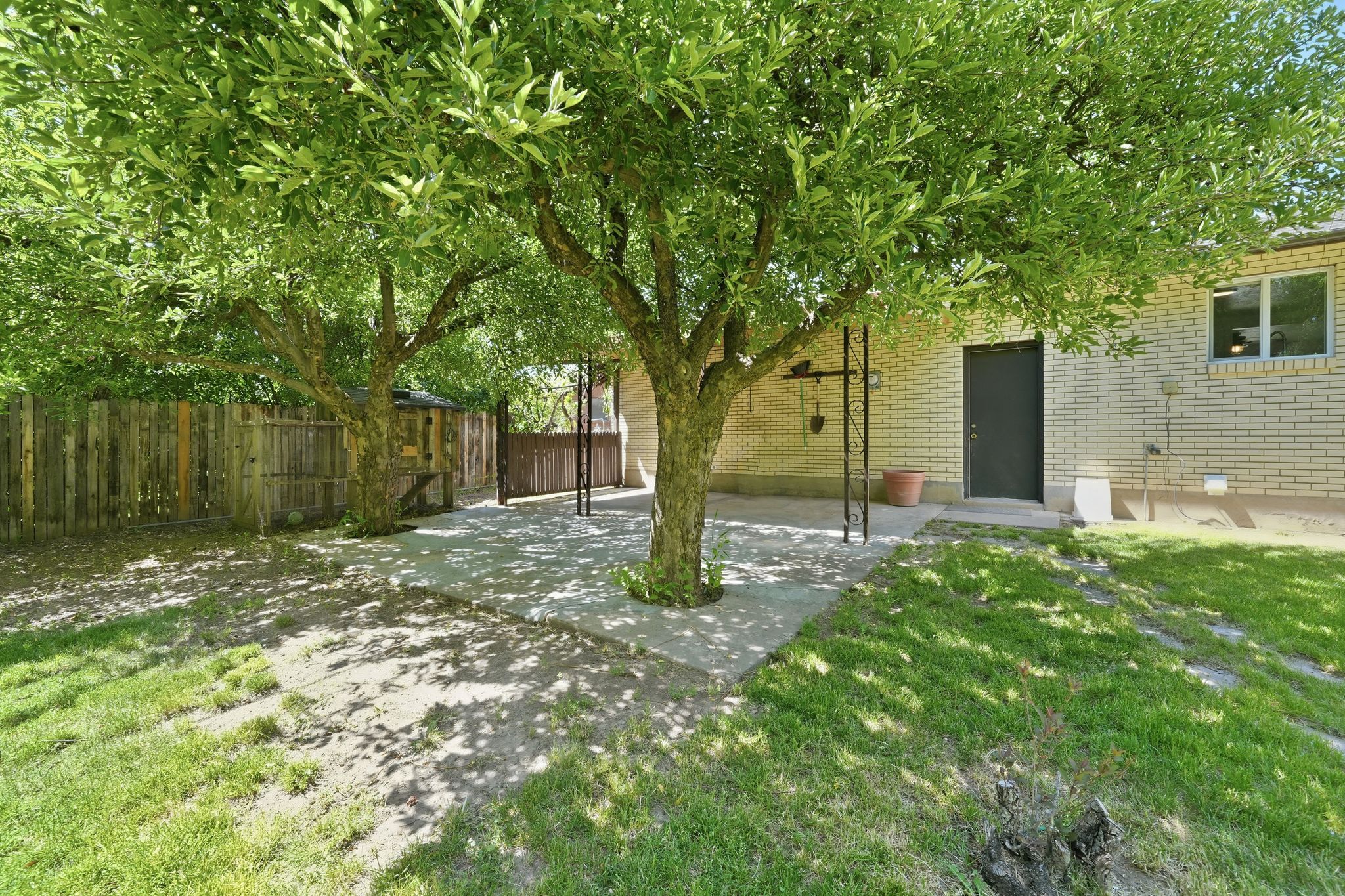 Landscaped backyard featuring two mature trees, a concrete patio area, a wood privacy fence, and a light-colored brick exterior wall with a dark door and window