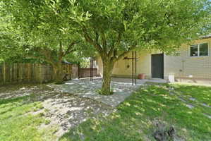 Landscaped backyard featuring two mature trees, a concrete patio area, a wood privacy fence, and a light-colored brick exterior wall with a dark door and window