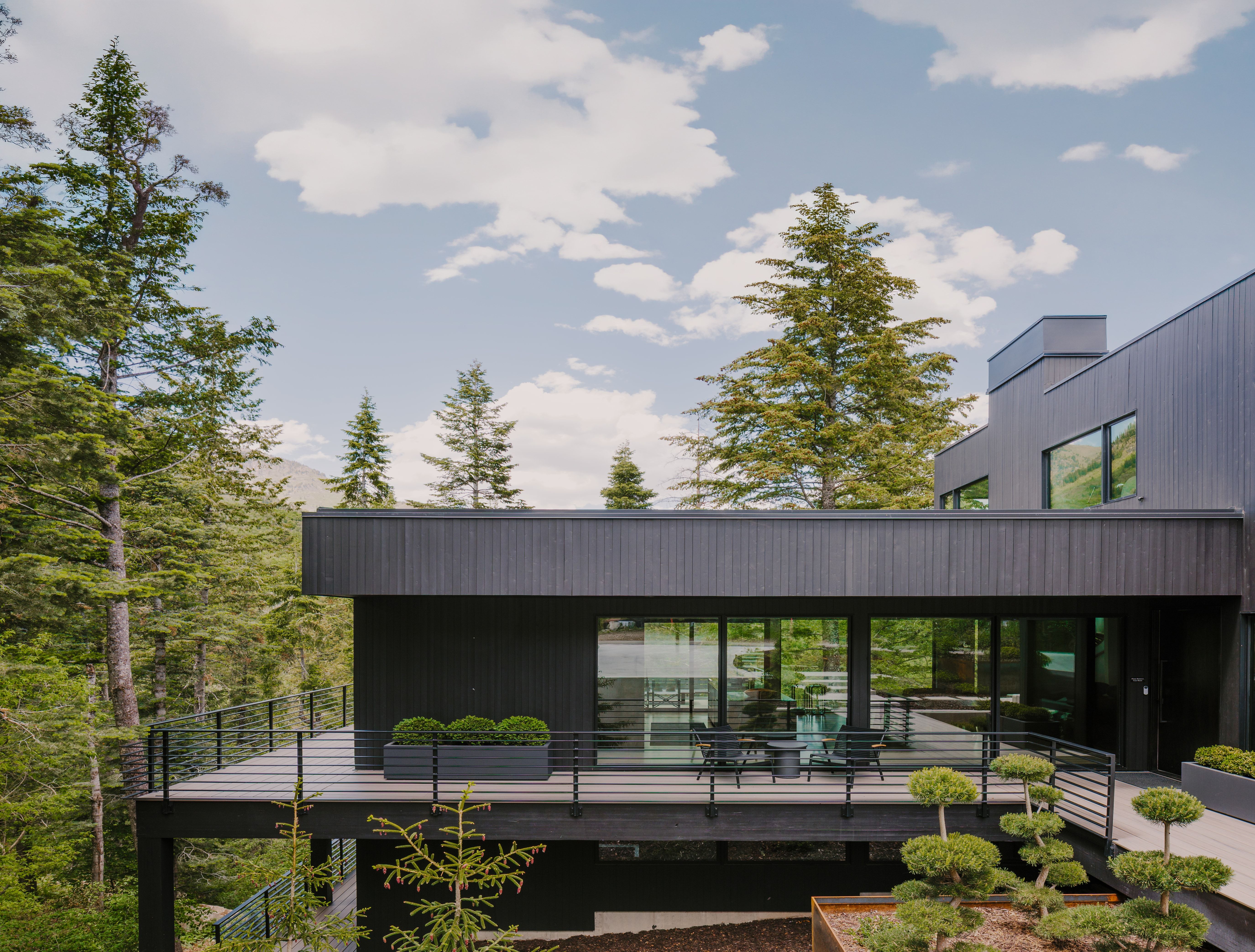 Modern exterior featuring dark wood-look siding and expansive glass panels