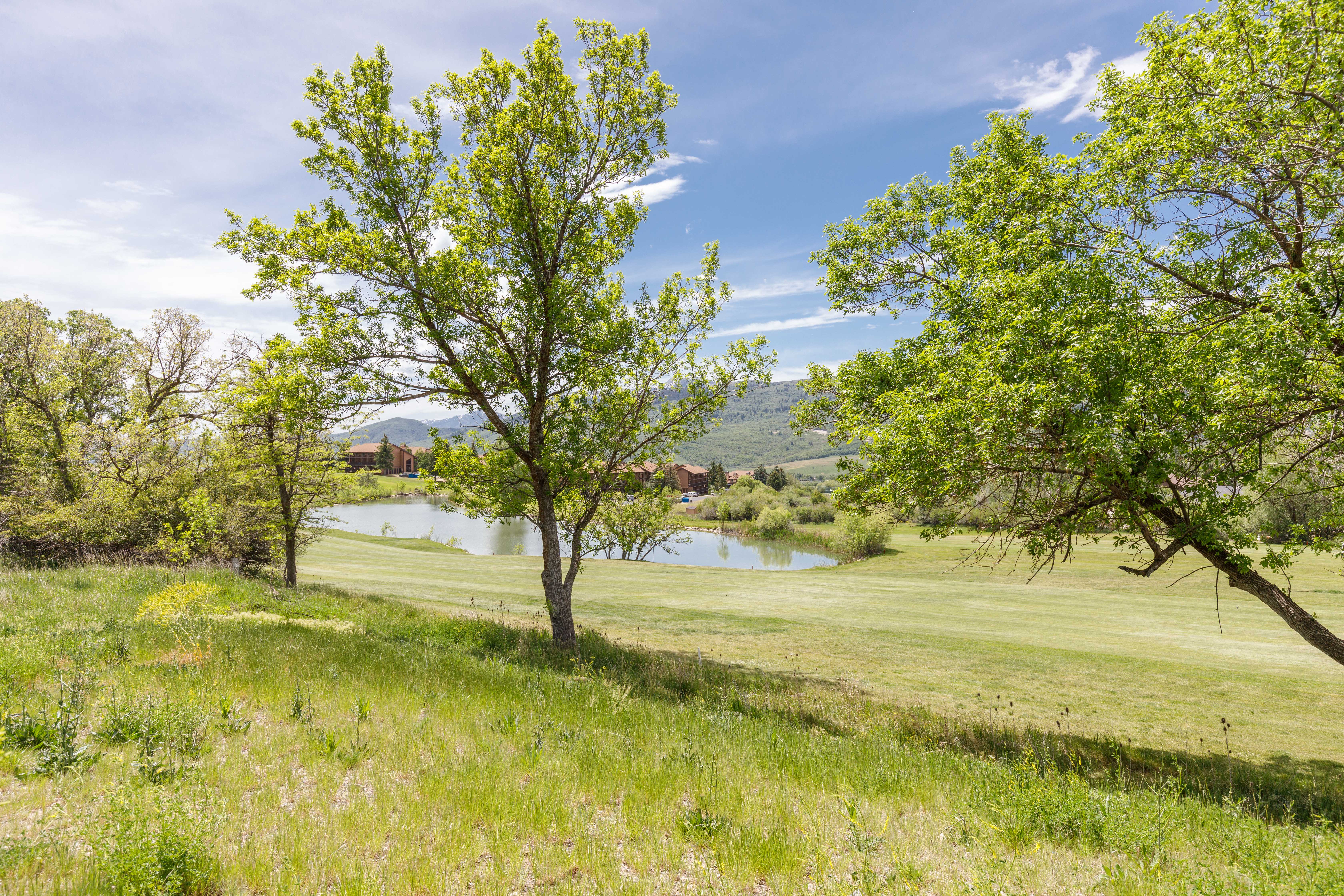 Expansive green space featuring mature trees and a tranquil pond