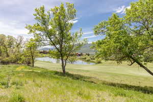 Expansive green space featuring mature trees and a tranquil pond