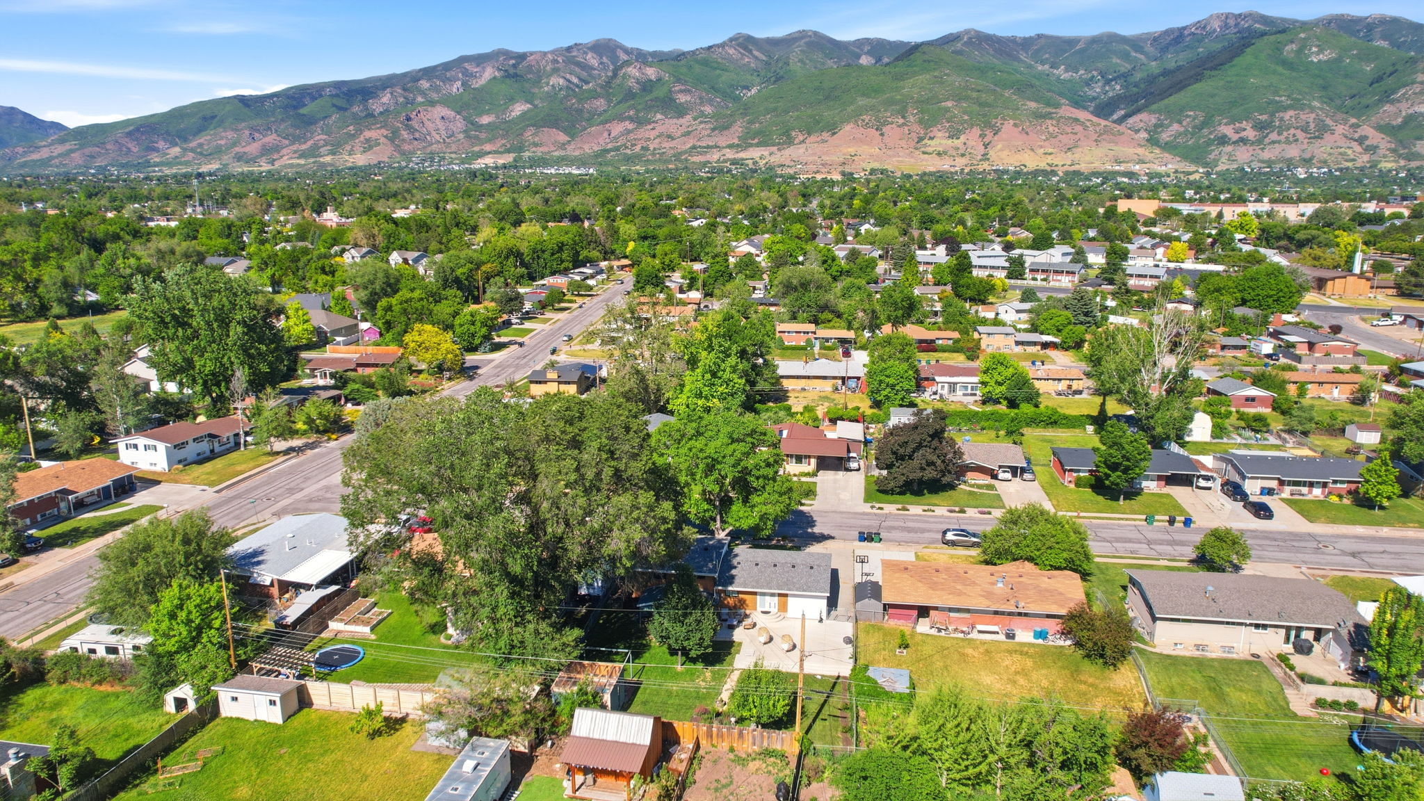 Residential neighborhood with mature trees and mountain backdrop