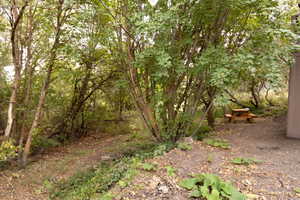 Wooded perimeter featuring mature trees