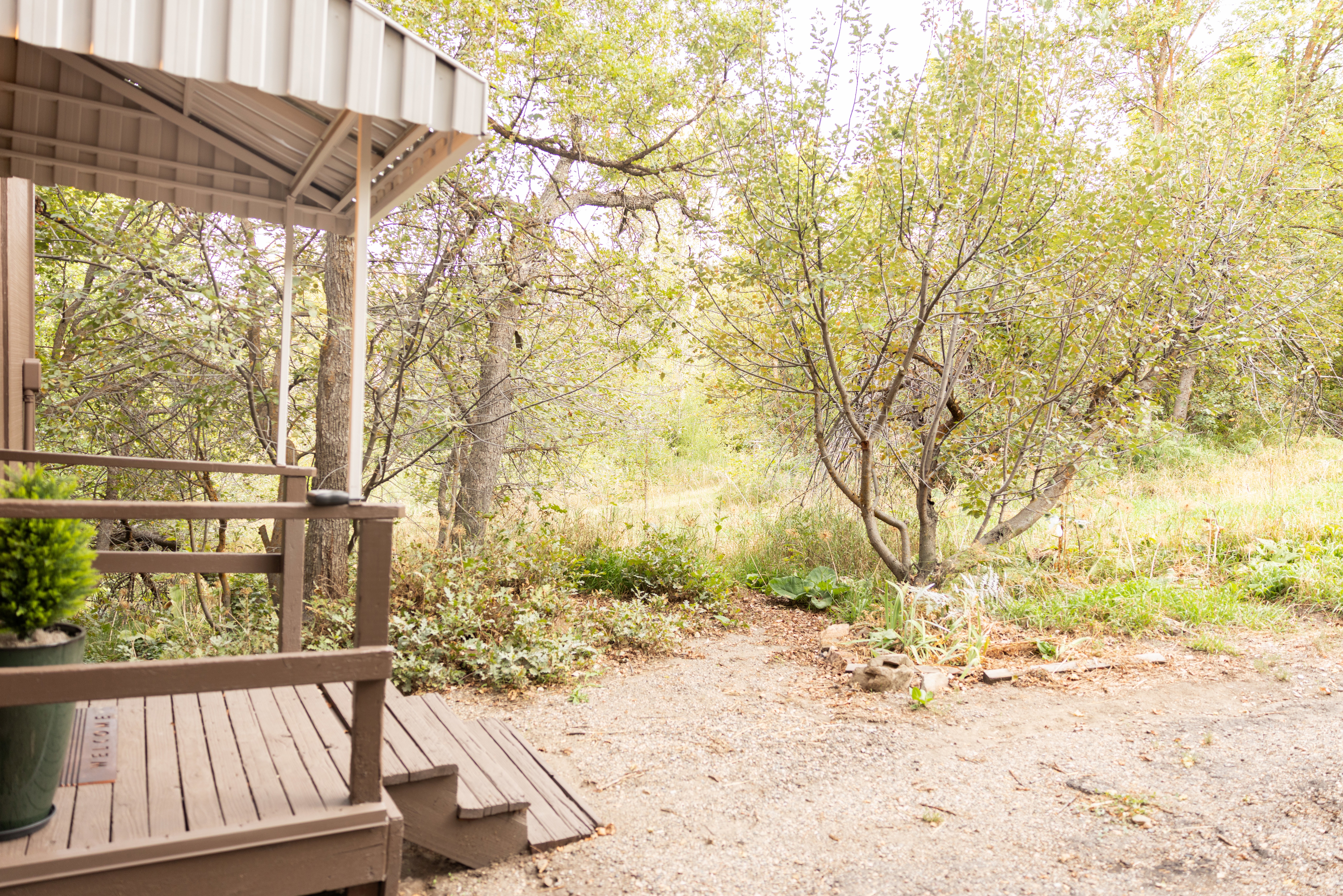 Covered porch with wood flooring and railing