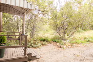Covered porch with wood flooring and railing