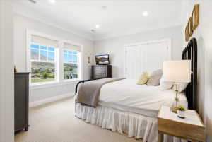Bright bedroom featuring dual double-hung windows with roller shades