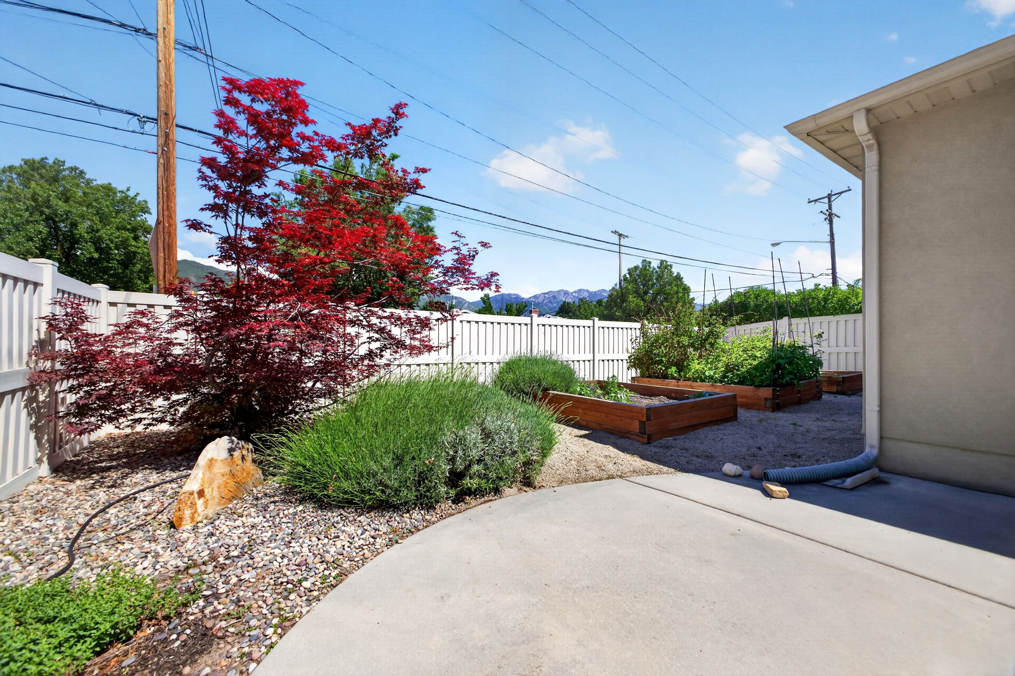 Fully fenced outdoor living area featuring a concrete patio, raised garden beds, and mature landscaping