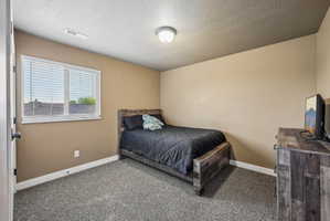 Comfortable bedroom featuring neutral-toned walls, textured carpet flooring, a horizontal window with blinds, and a ceiling-mounted light fixture