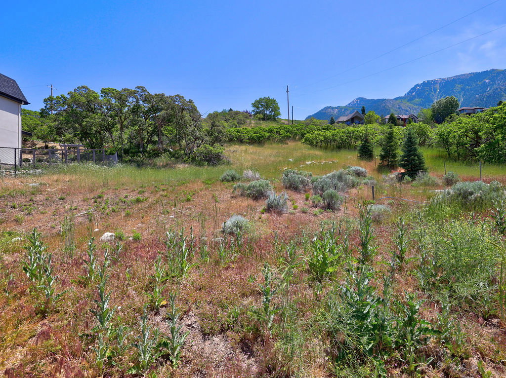 Expansive natural landscape with varied terrain, featuring distant mountains and mature trees