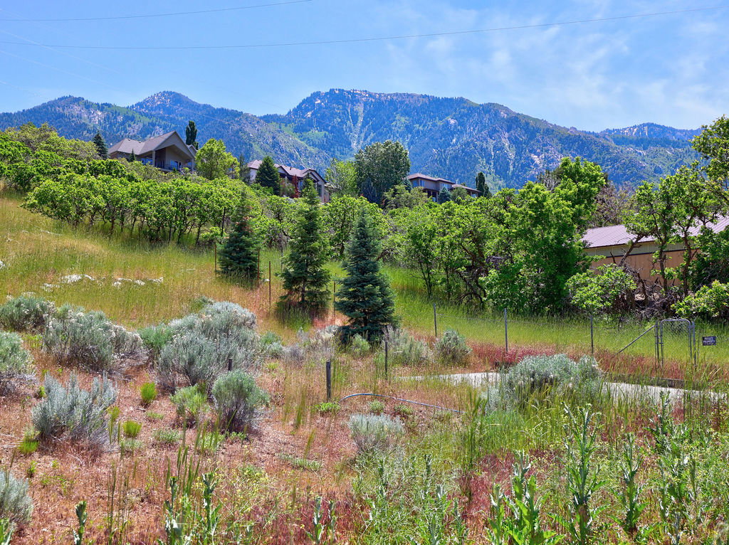 Mountain backdrop with established residential properties and varied natural landscaping