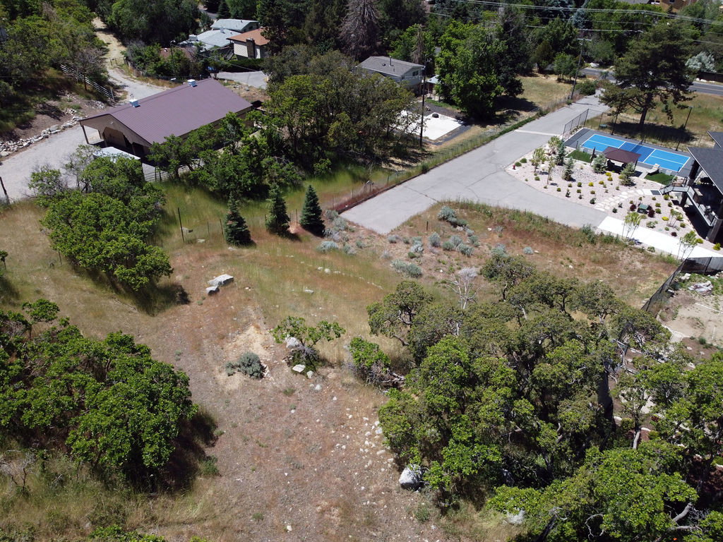 Expansive lot featuring a mix of mature trees and open terrain