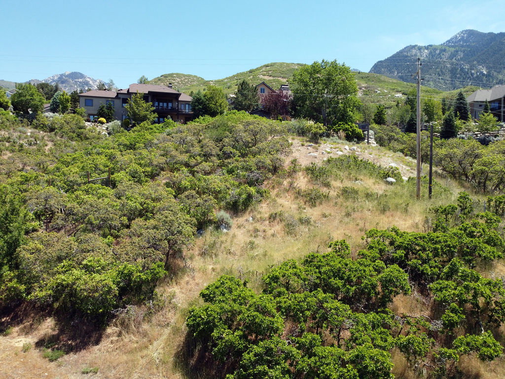 Mountainous terrain featuring diverse natural vegetation and a clear blue sky