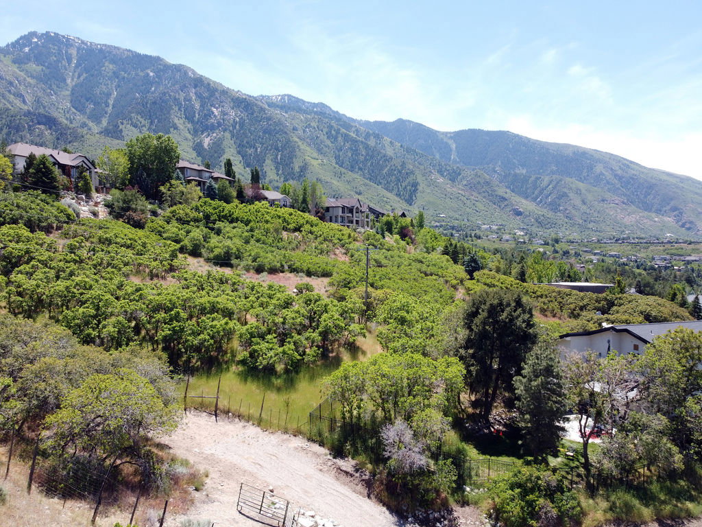 Expansive mountainous landscape featuring lush green foliage and clear skies