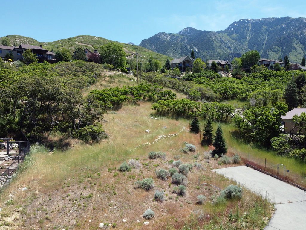 Elevated parcel featuring natural vegetation and distant mountain ranges