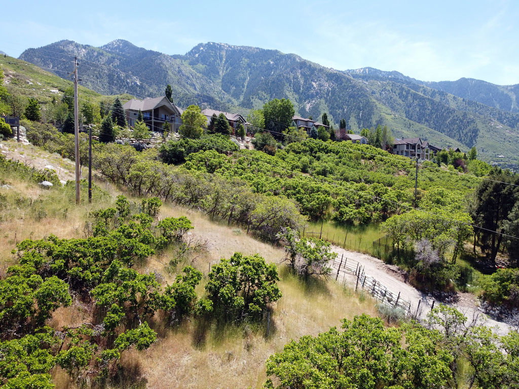 Mountain backdrop with mature landscaping and green foliage