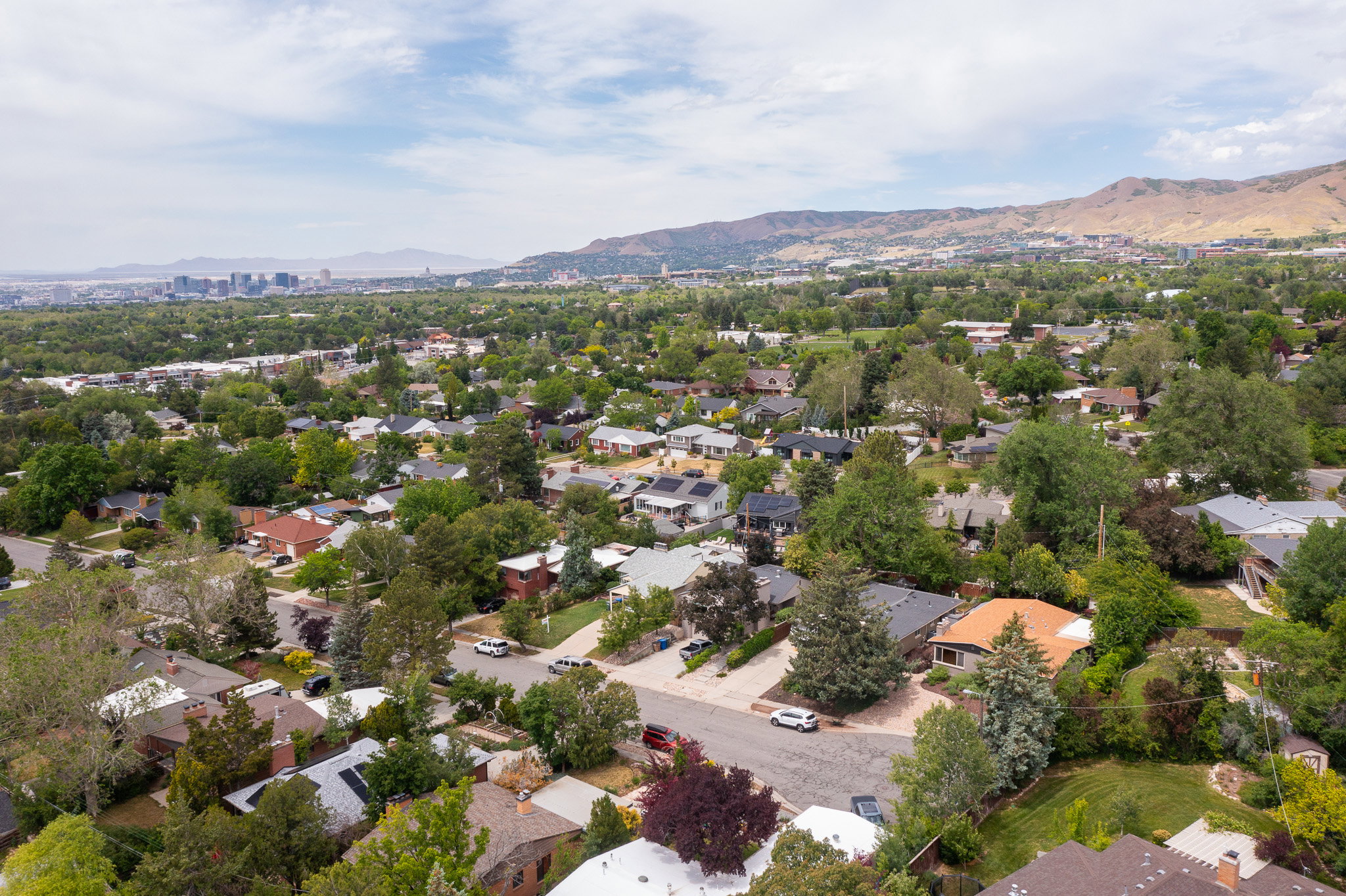 Expansive residential area featuring a diverse collection of homes with various architectural styles and roof colors
