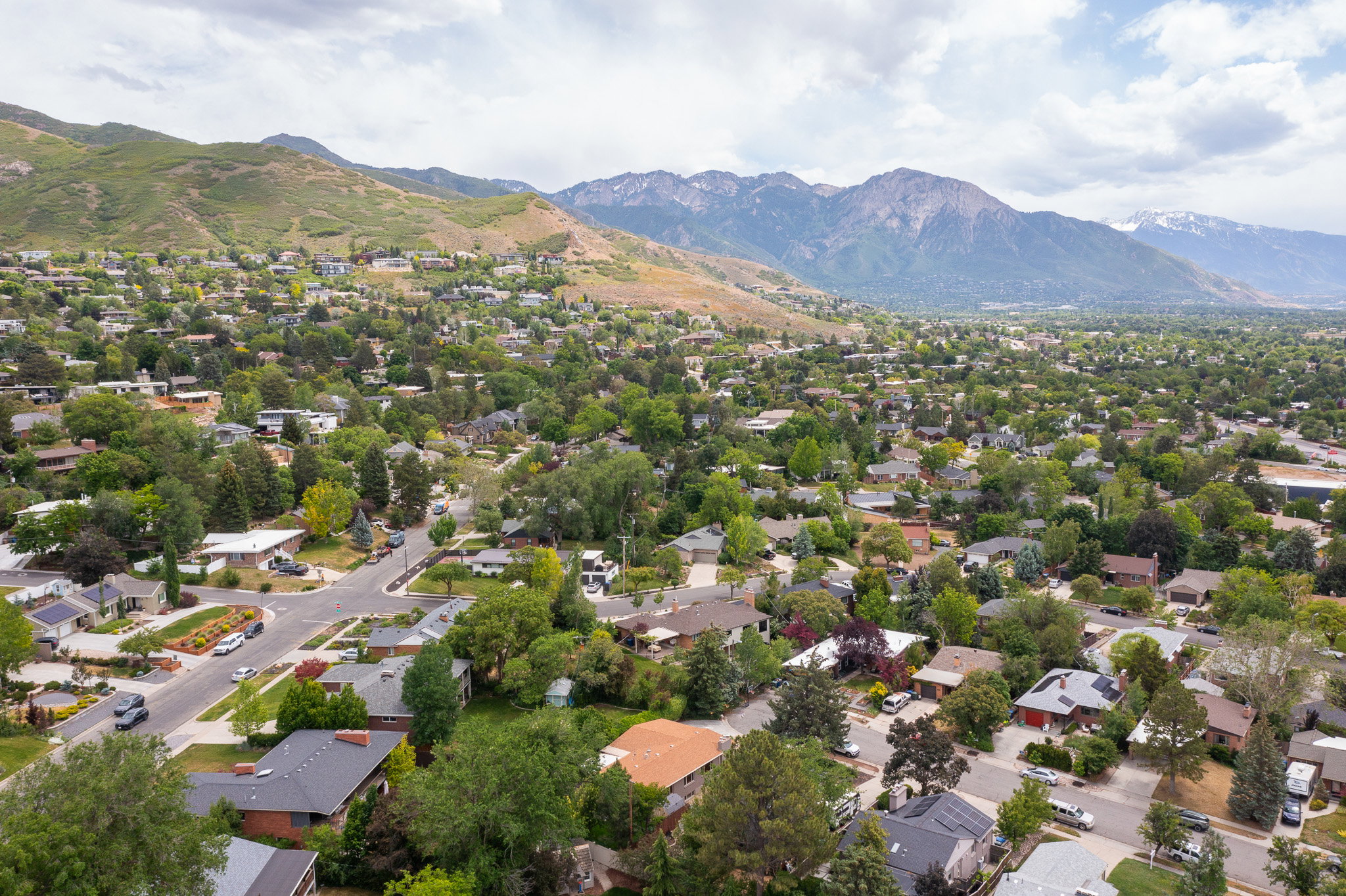 Residential neighborhood featuring mature trees and established homes