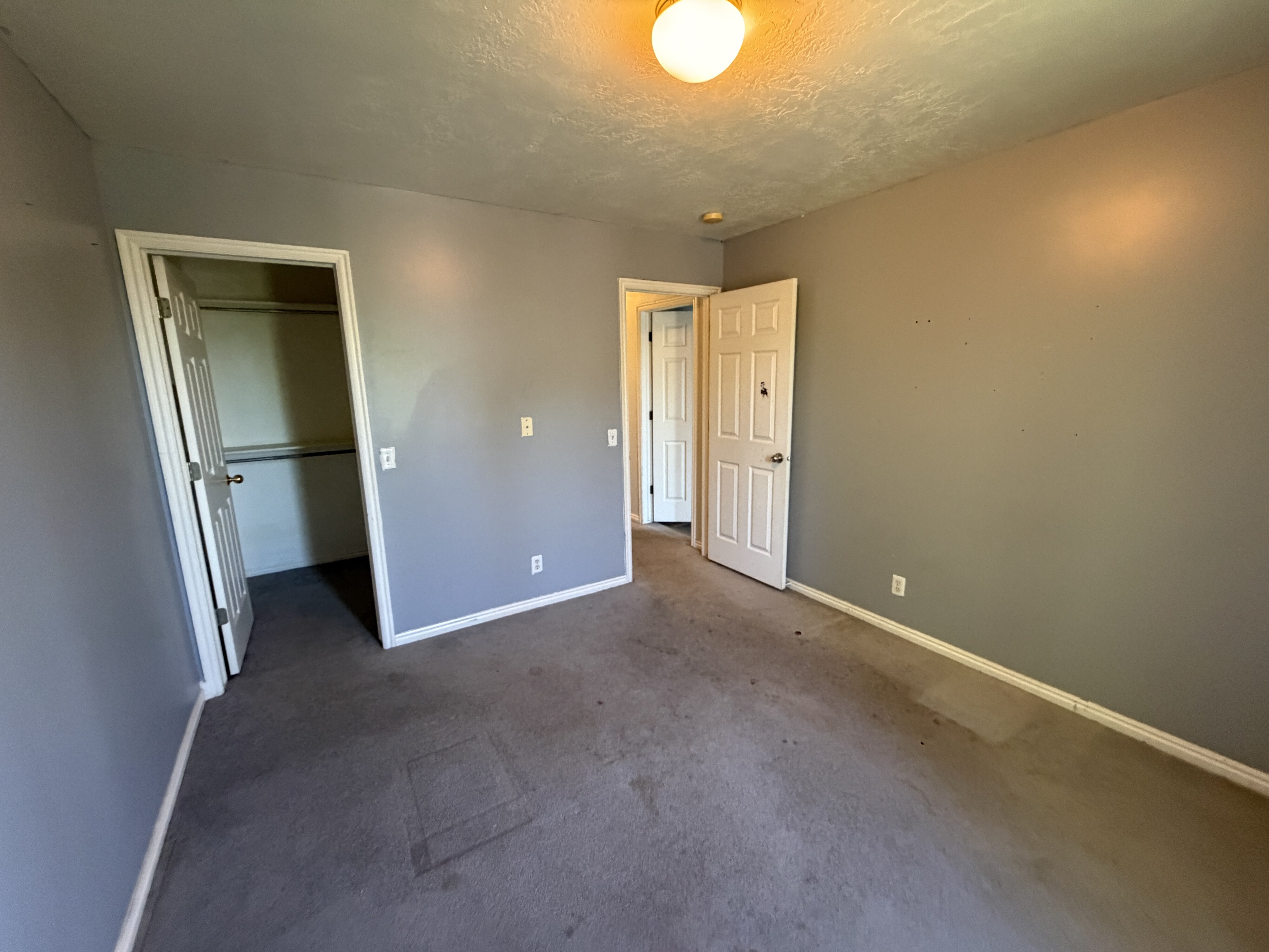 Interior room featuring a ceiling-mounted light fixture, gray wall paint, white trim, and gray carpeting