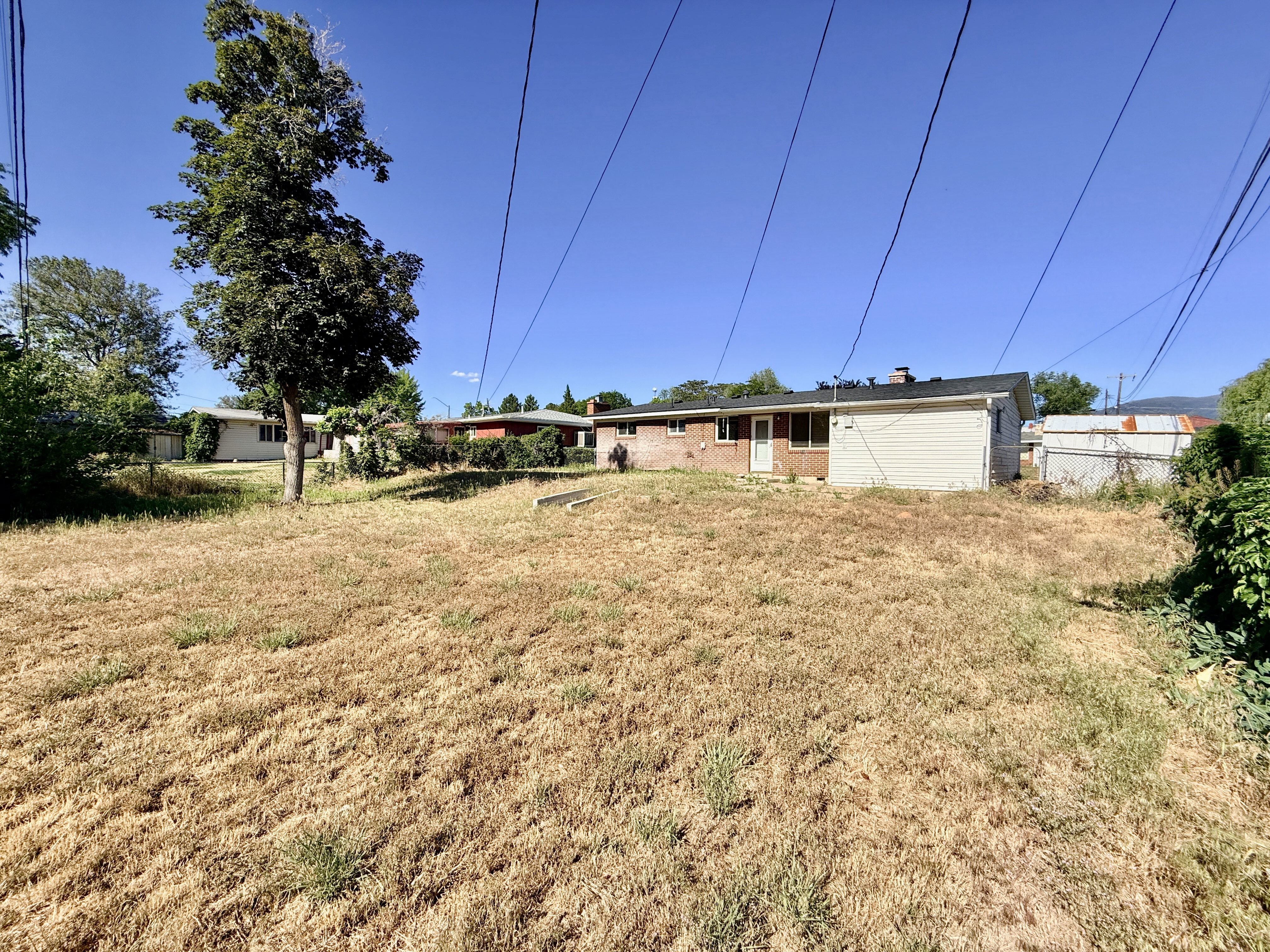 Expansive backyard with a mature tree