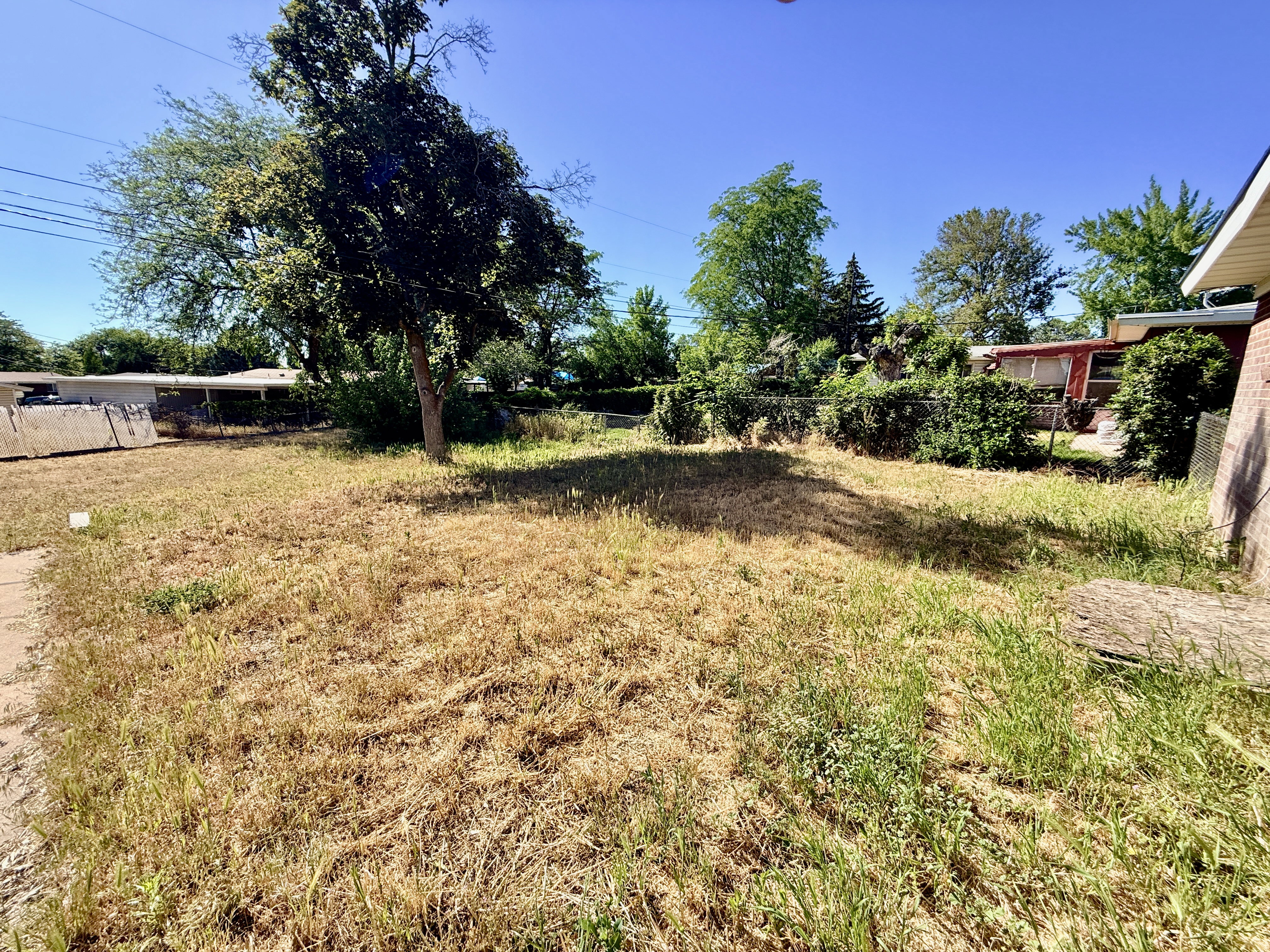 Expansive outdoor lot featuring mature trees and a clear sky backdrop