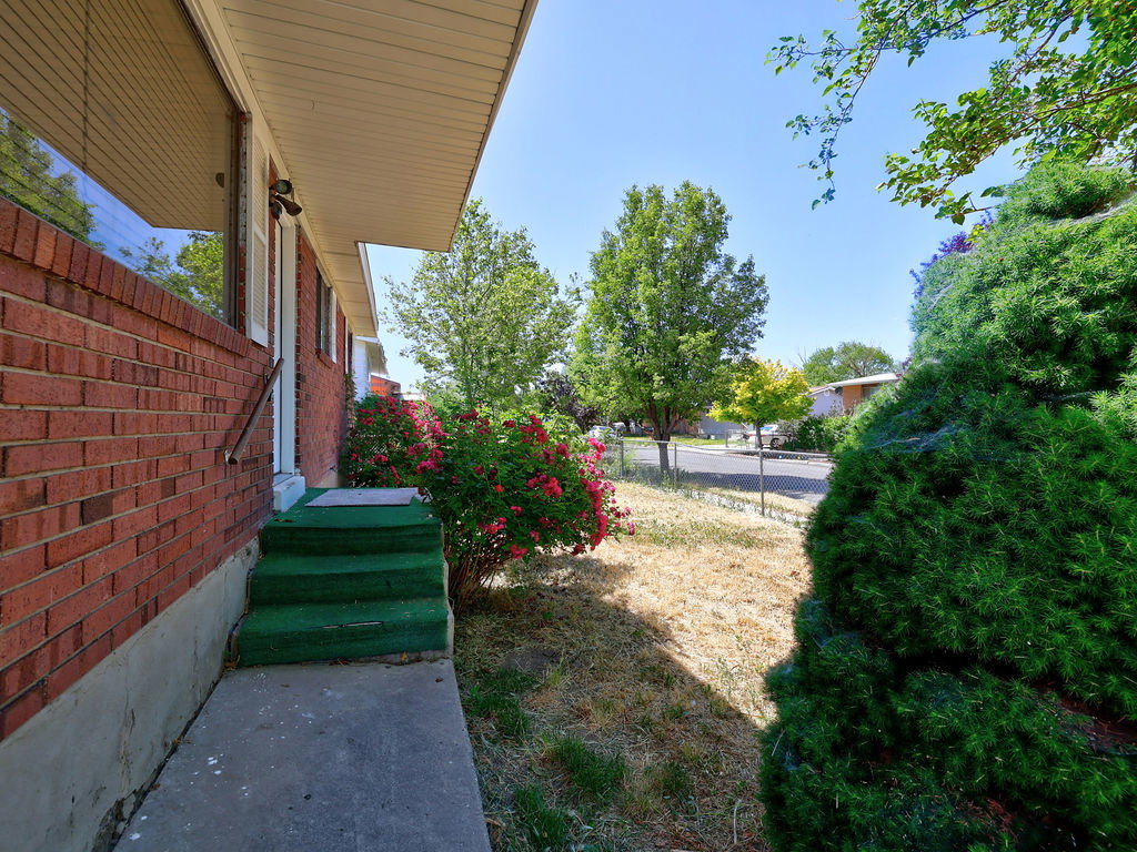 Brick exterior featuring a concrete walkway, green steps, and mature landscaping