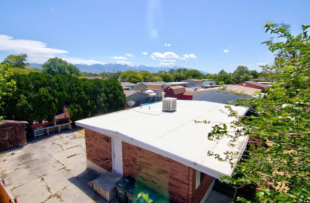 Expansive concrete patio area with a built-in outdoor grill station and mature privacy landscaping