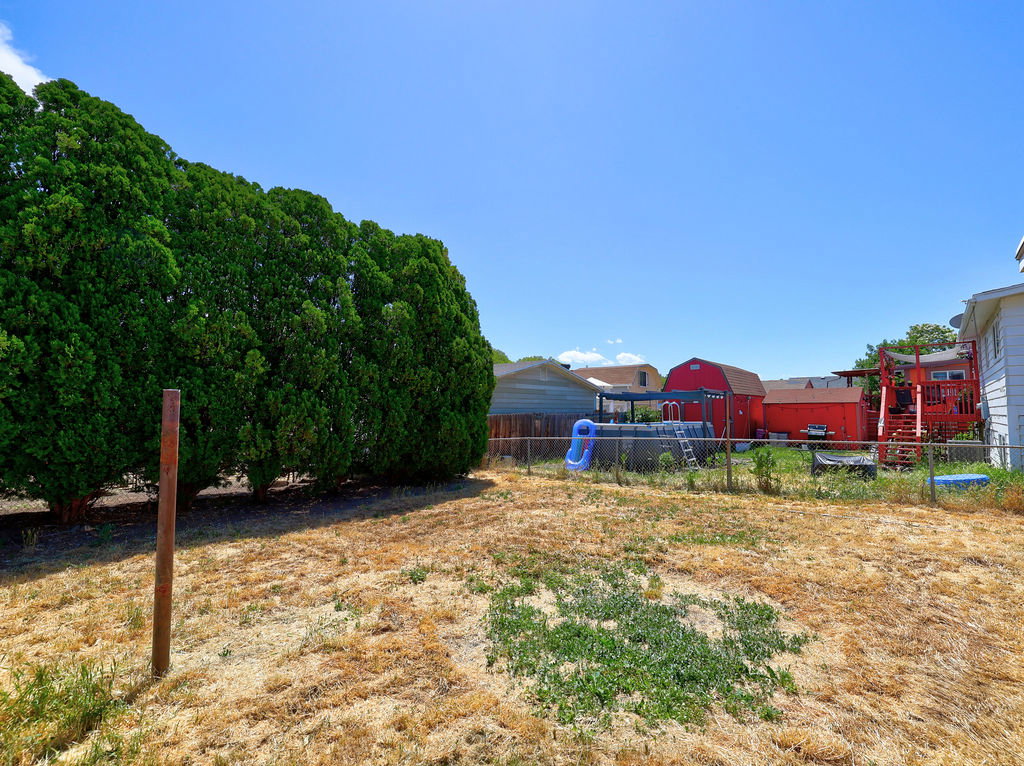 Fenced backyard with mature privacy hedges and a visible chain-link fence