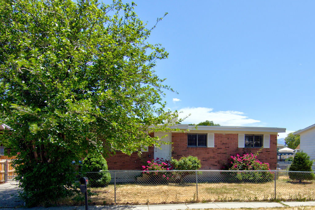 Brick-front residence with white window shutters and a mature shade tree