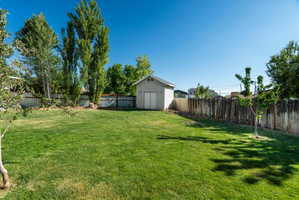 Expansive backyard featuring a large green lawn, mature trees, and a freestanding shed