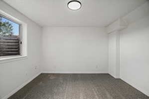 Spacious room featuring neutral carpeting, white walls, a single window, and a flush-mount ceiling light fixture