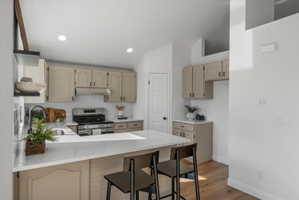 Modern kitchen featuring light-toned cabinetry, stainless steel appliances, white countertops, recessed lighting, and wood-finish flooring
