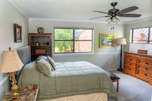 Carpeted room featuring a ceiling fan with integrated lighting, multiple windows with blinds, and white crown molding