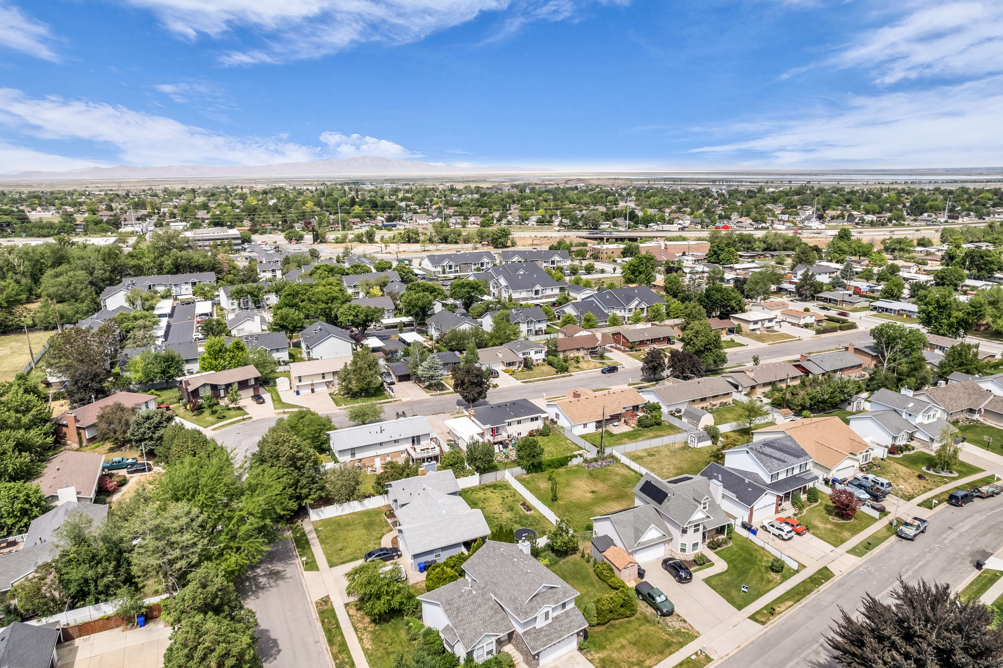 Aerial perspective of a residential neighborhood featuring diverse architectural styles and mature landscaping