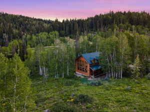 Wood-sided cabin featuring a green metal roof and a prominent wall of windows