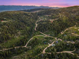 Expansive mountain landscape featuring dense evergreen and deciduous trees, winding roads, and distant snow-capped mountains