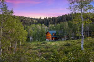 Log cabin residence featuring a green metal roof and multiple windows