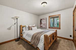 Carpeted bedroom featuring a wooden window frame, a dark wood-finish door, and a flush mount ceiling light fixture