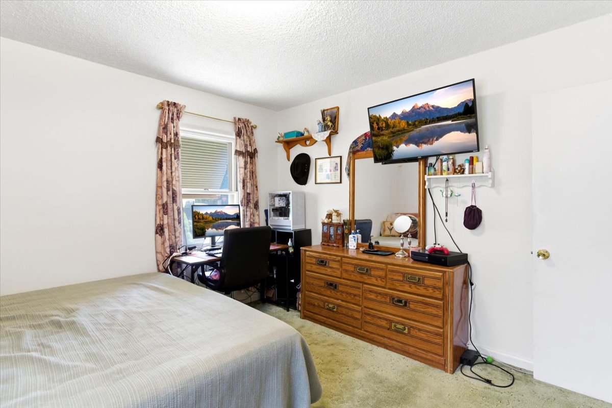 Bedroom with light-colored walls and green carpeting