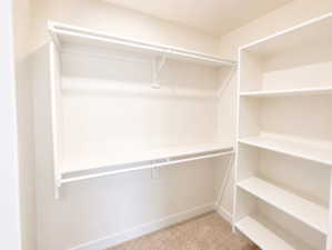Walk-in closet featuring built-in shelving, two hanging rods, and neutral carpet