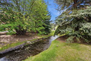 Natural waterway bordered by verdant grass and mature trees