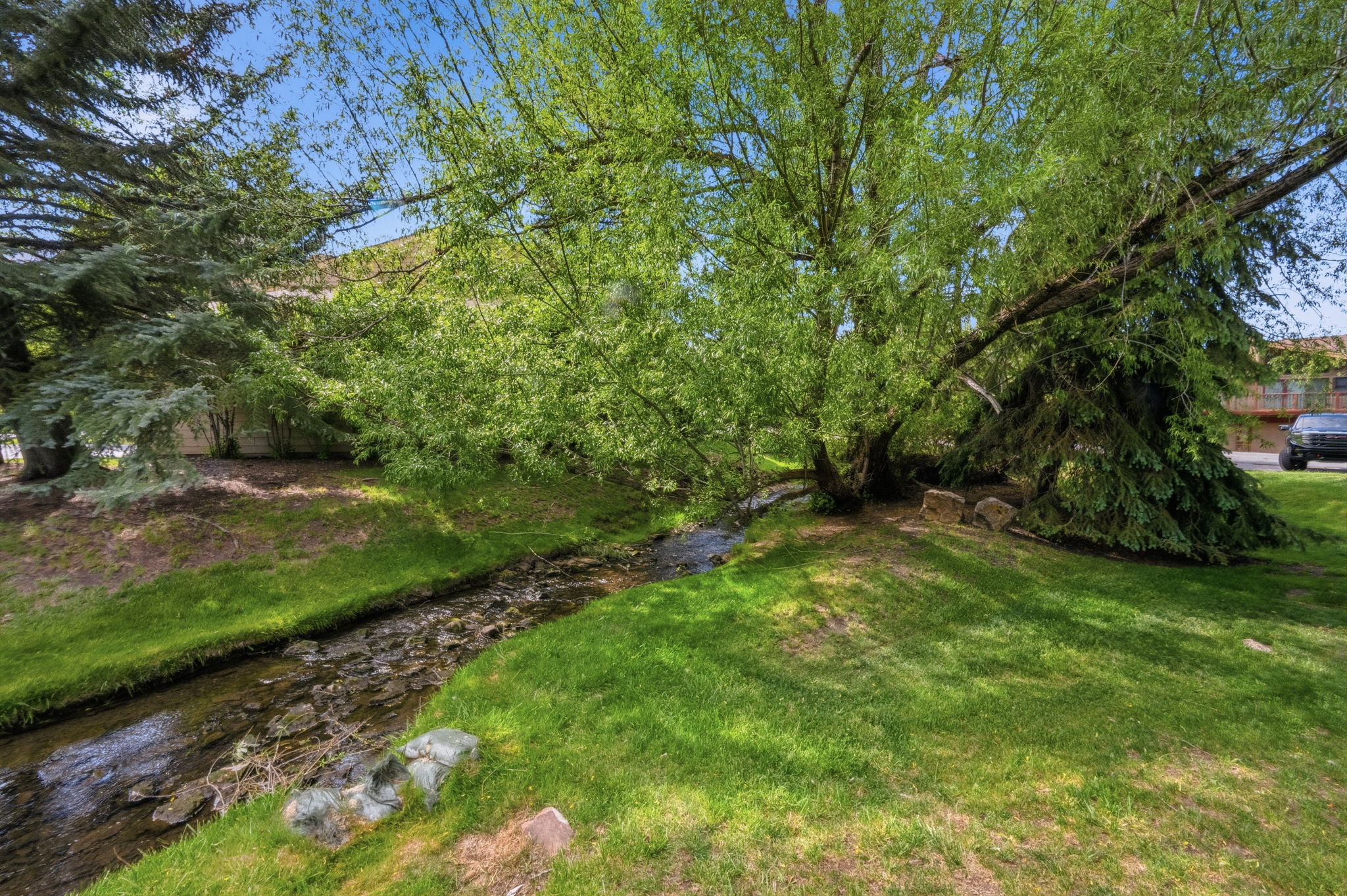 Natural stream running through a verdant landscape with mature trees and lush green grass
