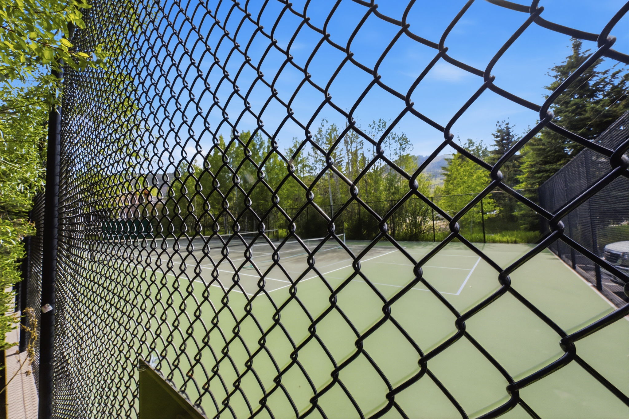 Fenced tennis court featuring a light green playing surface with white line markings, surrounded by mature trees and natural landscaping