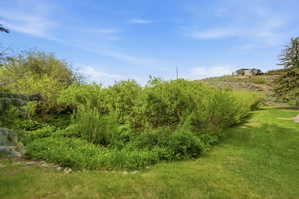 View from back porch.  Expansive green lawn with a border of varied shrubs and established trees