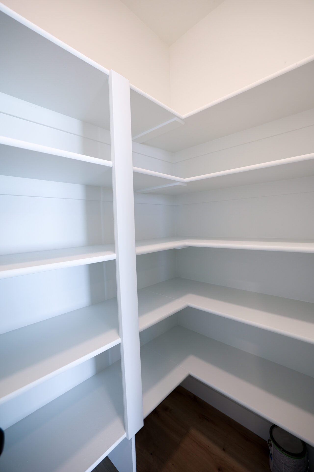 Walk-in pantry featuring extensive white shelving