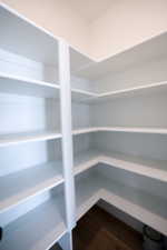 Walk-in pantry featuring extensive white shelving