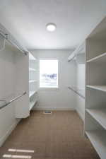 Walk-in closet featuring built-in shelving, chrome hanging rods, a window with horizontal blinds, overhead lighting, and carpet flooring