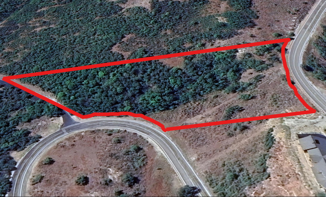 Expansive parcel featuring mixed terrain with substantial tree coverage