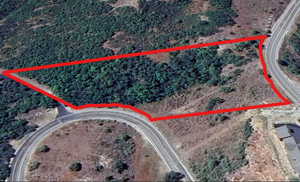 Expansive parcel featuring mixed terrain with substantial tree coverage