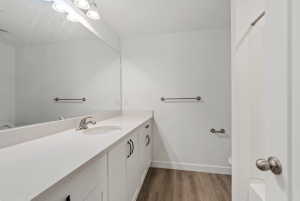 Spacious bathroom featuring an extended white vanity with integrated sink, brushed nickel faucet, large wall-mounted mirror, and wood-finish flooring