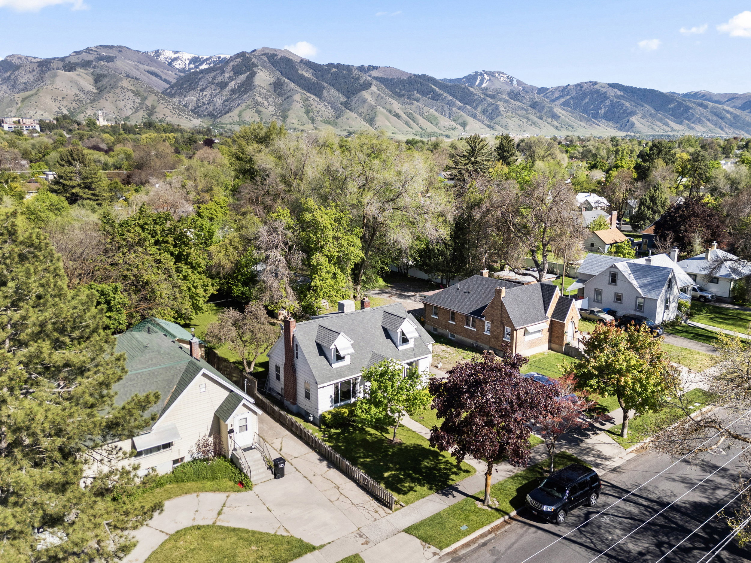 Aerial perspective showcasing a residential street with mature trees, green lawns, and diverse home architectural styles